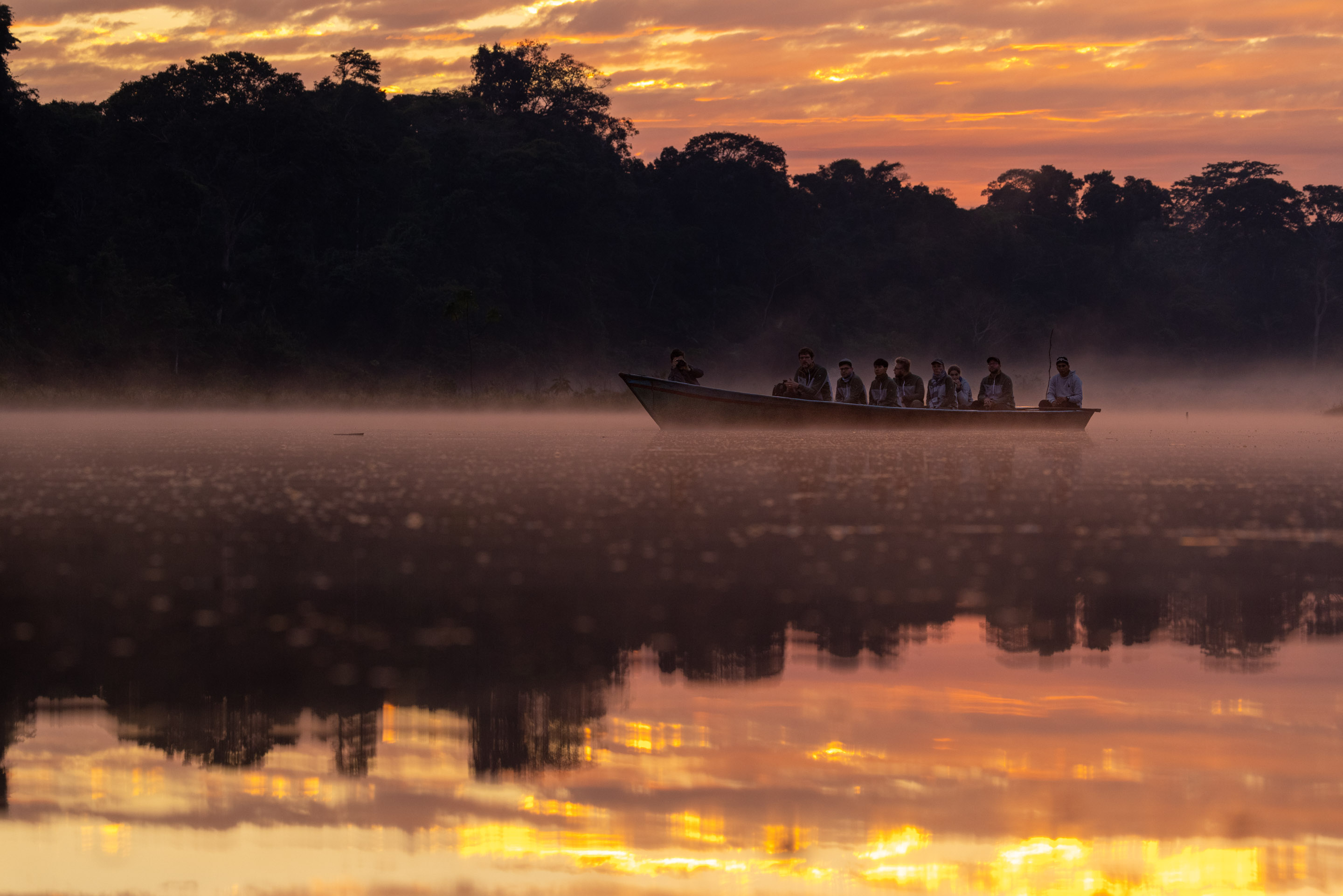 Paseo en barco por un brazo lateral al amanecer